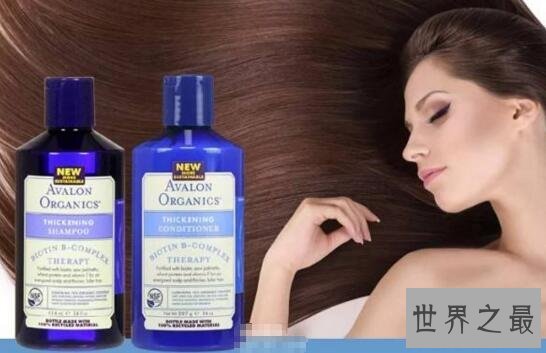 世界十大洗发水品牌排行榜,箭牌洗发水宠物也可用