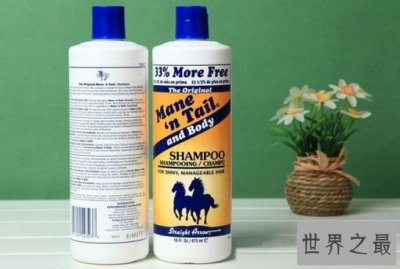 ​世界十大洗发水品牌排行榜，箭牌洗发水宠物也可用