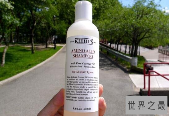 世界十大洗发水品牌排行榜,箭牌洗发水宠物也可用