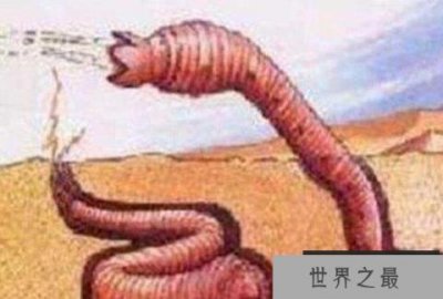 ​沙漠十大恐怖动物：死亡之虫会喷出毒液让人致命