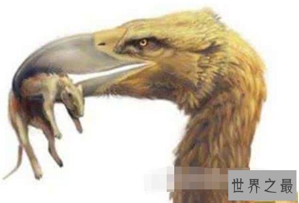 世界上最强大的鸟，恐怖鸟(明明就是一头恐龙)