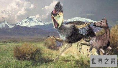 ​世界上最强大的鸟，恐怖鸟(明明就是一头恐龙)
