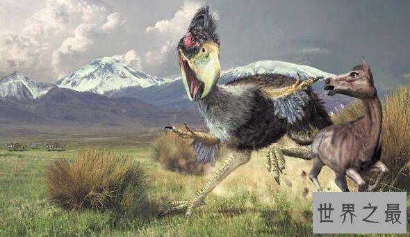 世界上最强大的鸟，恐怖鸟(明明就是一头恐龙)