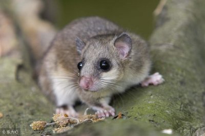 72年出生的晚年如何 72年出生的人一生命运