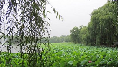 圆明园最著名 圆明园是当时世界上最大的什么和什么地方