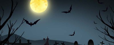 蝙蝠是鸟吗 蝙蝠是鸟吗?为什么?