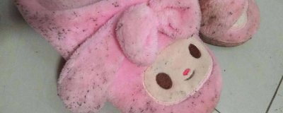 夏天鞋子发霉了怎么办 冬天的鞋子发霉了怎么办小妙招图片