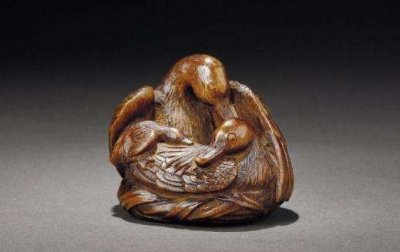 奇楠沉香树有什么用途 沉香树品种