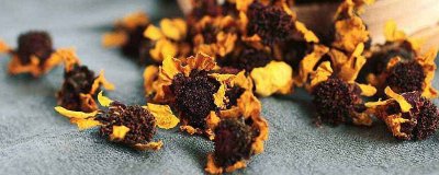 请问昆仑雪菊有什么功效 昆仑雪菊的妙用