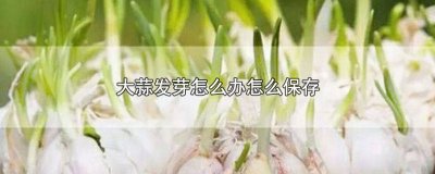 大蒜发芽了怎样储存 发芽的大蒜如何保存