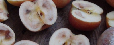 ​苹果黑心还能不能吃 苹果黑心但外表很好能吃吗