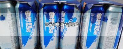 罐装的雪花啤酒 雪花啤酒有哪些包装品牌图片