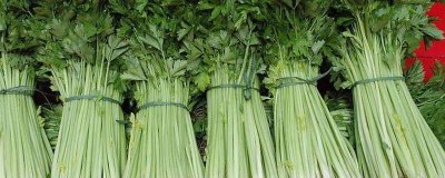 蔬菜在没有冰箱的情况下如何保鲜 没有冰箱蔬菜如何保鲜好