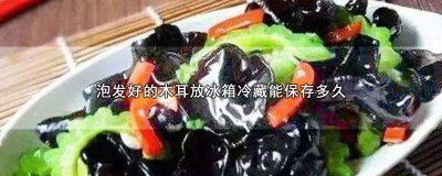 木耳泡发后放冰箱能放多久不坏 发泡后的木耳放冰箱能保存多久