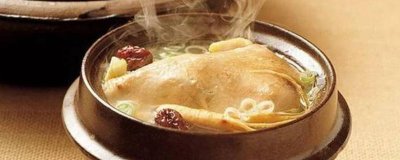 人参枸杞老母鸡能一块炖吗 人参炖老母鸡吃了有什么好处