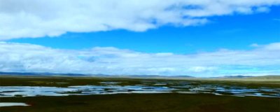 黄河终点在哪里? 黄河起点和终点在哪里全长多少