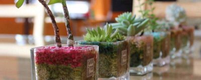 如何使土壤疏松透气 如何让土壤变得疏松肥沃小窍门