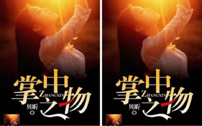 掌中之物讲什么内容掌中之物小说内容简介