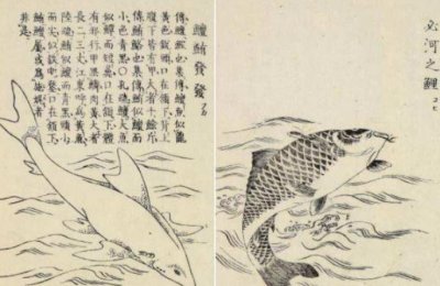 ​山海经是谁写的 西方学者提出不是中国人