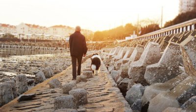 ​瑞年是什么年 人瑞是做什么的