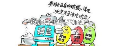 买盐是买加碘还是不加碘 盐应该买加碘还是不加碘