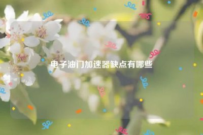 电子油门加速器缺点有哪些