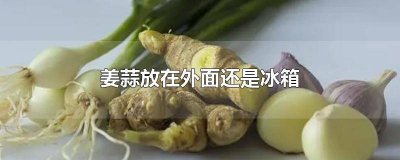 姜和蒜放冰箱里可以吗 蒜和姜可以放在冰箱吗