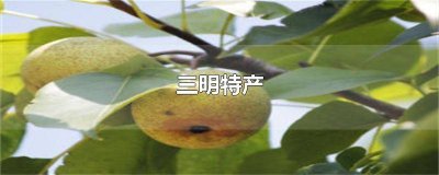 三明特产小吃 三明特产老鼠干