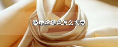 桑蚕丝褪色怎么恢复原样图片 桑蚕丝褪色怎么恢复原样呢