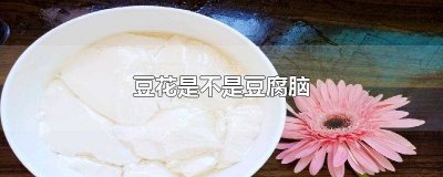 四川豆花和豆腐脑的区别 成都豆花是豆腐脑吗