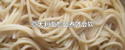 意大利面怎么煮才会软软的呢 意大利面怎么煮才会软软的肉
