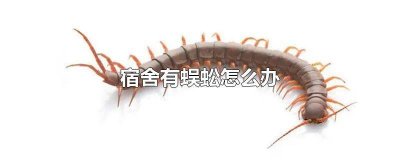 蜈蚣在宿舍里找不到了怎么办 宿舍里有蜈蚣怎么办