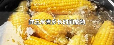 鲜玉米需要煮多久能熟 鲜玉米要煮多久才熟