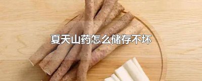 夏天山药怎样保存 冬天山药怎么保存不容易坏掉