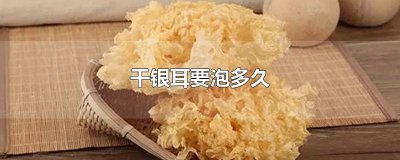 干银耳要泡多久才可以凉拌 干银耳要泡多久用什么水泡