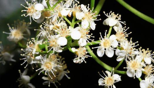 女生说JY暗示什么 jy是什么意思很污的