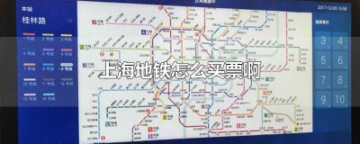 上海地铁要怎么买票 上海地铁买票怎么买?
