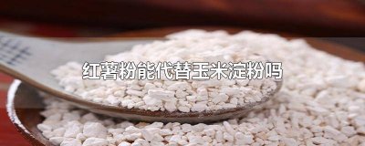 红薯淀粉能代替玉米淀粉吗 红薯淀粉能不能代替玉米淀粉