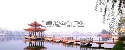 山东曹县特产有哪些土特产 山东曹县特产有哪些东西