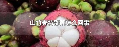 山竹硬是怎么回事儿 打不开的山竹是坏了吗?