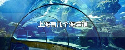 上海有几个海洋馆具体位置都在哪 上海最大的海洋馆是什么海洋馆