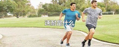 速耐是什么课 速耐是什么训练