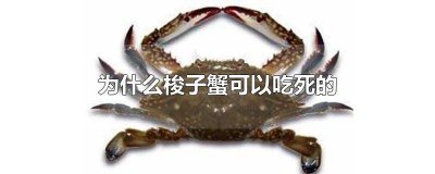 梭子蟹死了为什么不能吃 梭子蟹死了就不能吃了吗