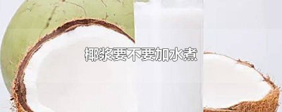 为什么不用椰浆 椰浆干嘛用