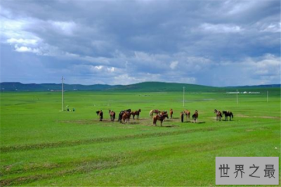 ​世界三大草原：欧亚草原上榜，两个都在美洲