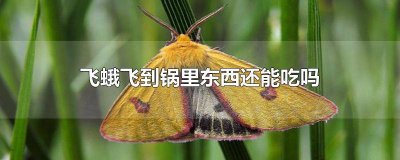 小蛾子吃什么东西? 不小心吃了蛾子