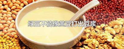绿豆不能像黄豆那样打出豆浆 绿豆不能像黄豆那样打出豆浆为什么