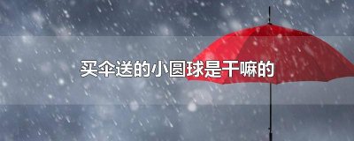 买伞时送的一小圆环是干啥用的 买伞送的一个球一个圈