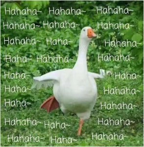 喝豆汁心态打开《花千骨》,味儿挺对啊!