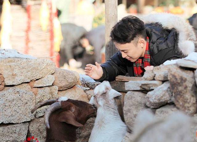 《向往的生活》小羊小不点去世 小不点去和妈妈团聚了!